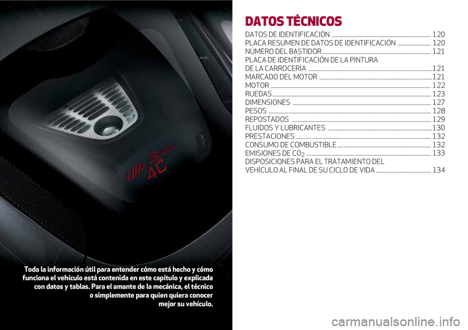 Alfa Romeo 4C 2021  Manual de Empleo y Cuidado (in Spanish) DATOS TÉCNICOS
DATOS DE IDENTIFICACIÓN  .......................................................................... 120
PLACA RESUMEN DE DATOS DE IDENTIFICACIÓN  ......................... 120
NÚMER