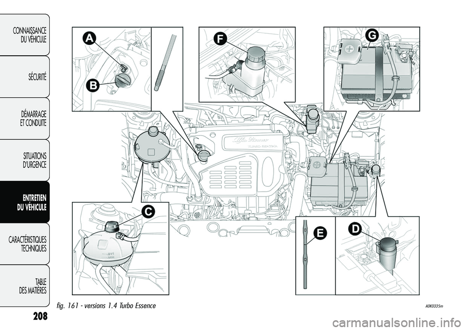 Alfa Romeo Giulietta 2012  Notice dentretien (in French) 208
CONNAISSANCE
DU VÉHICULE
SÉCURITÉ
DÉMARRAGE
ET CONDUITE
SITUATIONS 
D’URGENCE
ENTRETIEN
DU VÉHICULE
CARACTÉRISTIQUES
TECHNIQUES
TABLE
DES MATIÈRES
A0K0335mfig. 161 - versions 1.4 Turbo Es