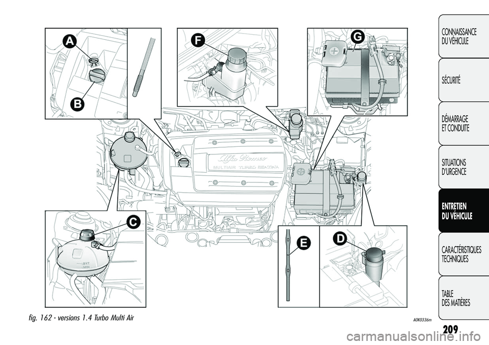 Alfa Romeo Giulietta 2012  Notice dentretien (in French) 209
CONNAISSANCE
DU VÉHICULE
SÉCURITÉ
DÉMARRAGE
ET CONDUITE
SITUATIONS 
D’URGENCE
ENTRETIEN
DU VÉHICULE
CARACTÉRISTIQUES
TECHNIQUES
TABLE
DES MATIÈRES
A0K0336mfig. 162 - versions 1.4 Turbo Mu
