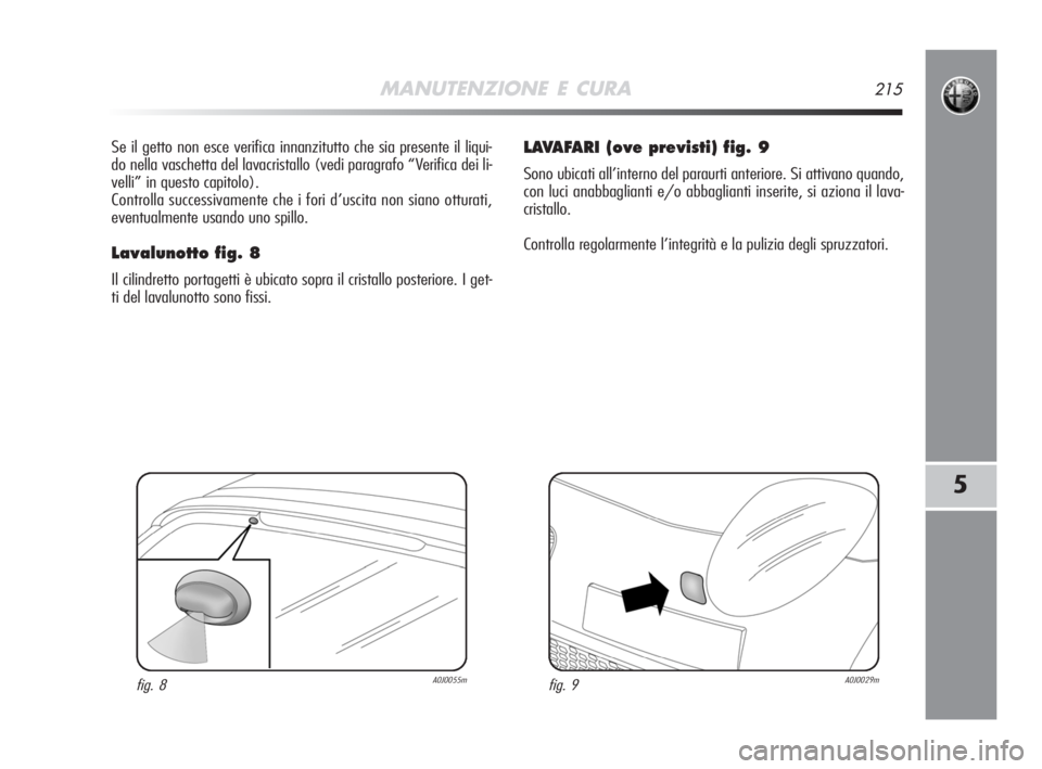 Alfa Romeo MiTo 2008  Libretto Uso Manutenzione (in Italian) MANUTENZIONE E CURA215
5
Se il getto non esce verifica innanzitutto che sia presente il liqui-
do nella vaschetta del lavacristallo (vedi paragrafo “Verifica dei li-
velli” in questo capitolo).
Co