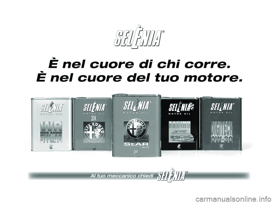 Alfa Romeo MiTo 2009  Libretto Uso Manutenzione (in Italian) 241-248 Alfa IT MiTo  12-11-2008  15:35  Pagina 246 