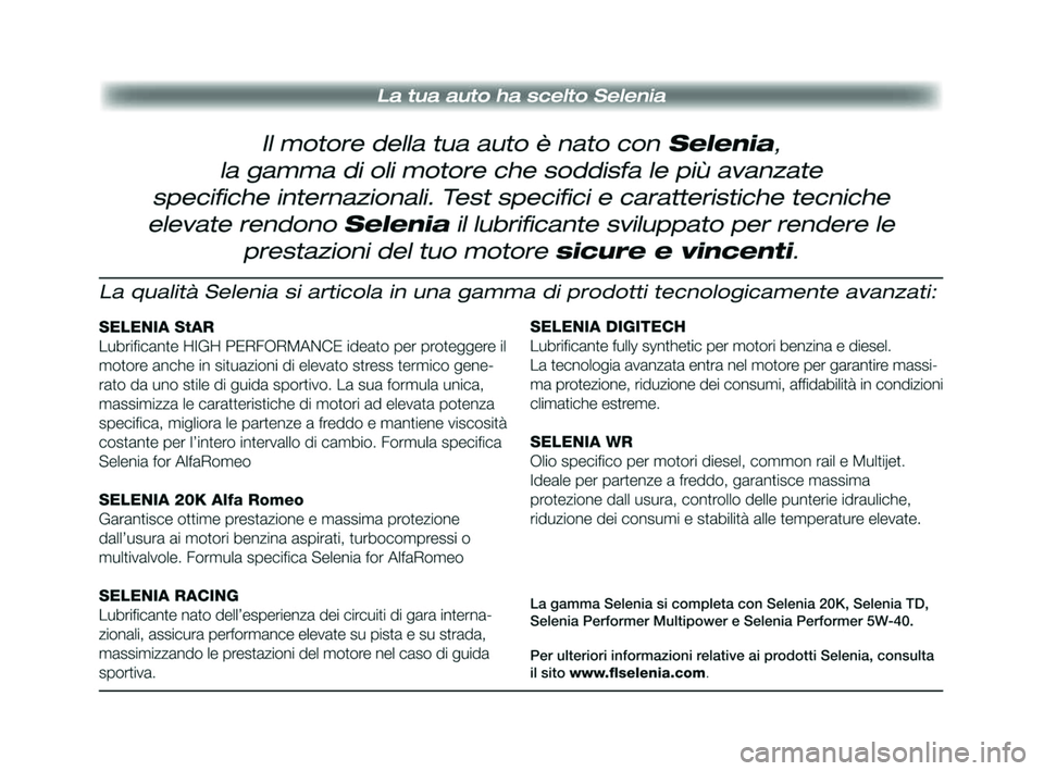Alfa Romeo MiTo 2009  Libretto Uso Manutenzione (in Italian) 241-248 Alfa IT MiTo  12-11-2008  15:35  Pagina 247 
