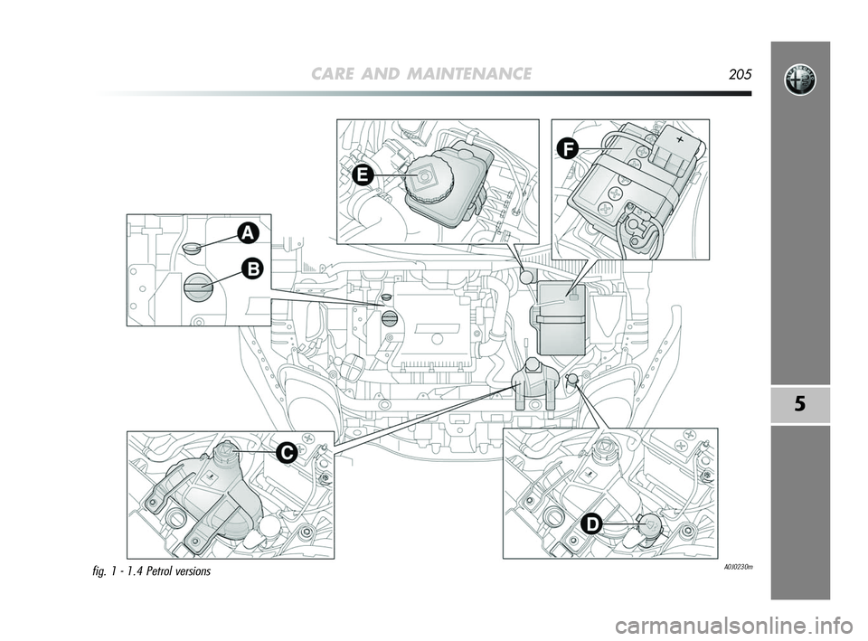 Alfa Romeo MiTo 2009 Owner handbook (in English) CARE AND MAINTENANCE205
5
A0J0230mfig. 1 - 1.4 Petrol versions
197-220 Alfa MiTo GB 12-11-2008 15:42 Pagina 205 Alfa Romeo MiTo 2009 Owner handbook (in English) CARE AND MAINTENANCE205
5
A0J0230mfig. 1 - 1.4 Petrol versions
197-220 Alfa MiTo GB 12-11-2008 15:42 Pagina 205
