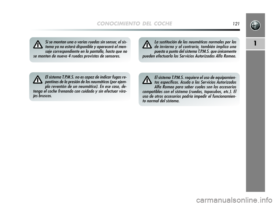 Alfa Romeo MiTo 2009  Manual de Empleo y Cuidado (in Spanish) CONOCIMIENTO DEL COCHE121
1Si se montan una o varias ruedas sin sensor, el sis-
tema ya no estará disponible y aparecerá el men-
saje correspondiente en la pantalla, hasta que no
se monten de nuevo 