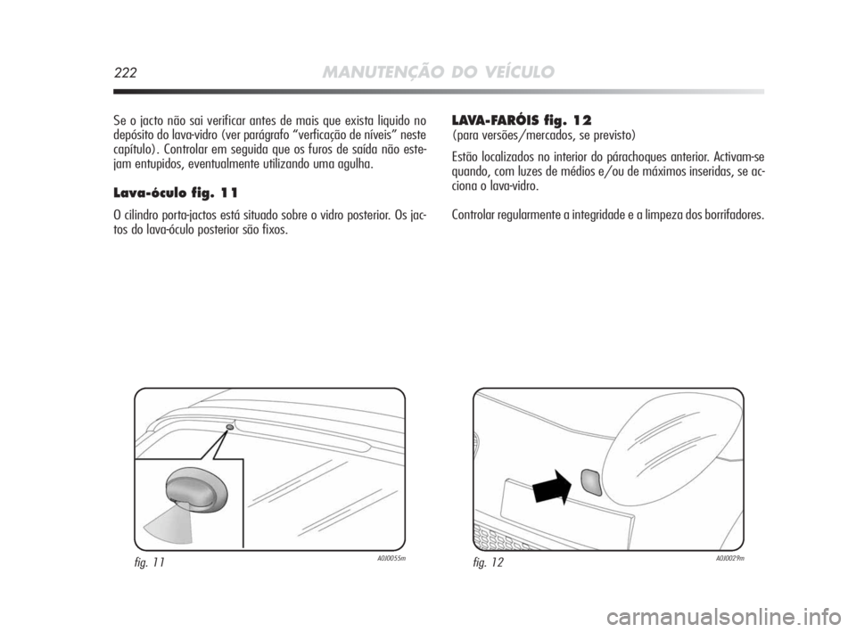 Alfa Romeo MiTo 2010  Manual de Uso e Manutenção (in Portuguese) 222MANUTENÇÃO DO VEÍCULO
Se o jacto não sai verificar antes de mais que exista liquido no
depósito do lava-vidro (ver parágrafo “verficação de níveis” neste
capítulo). Controlar em segui