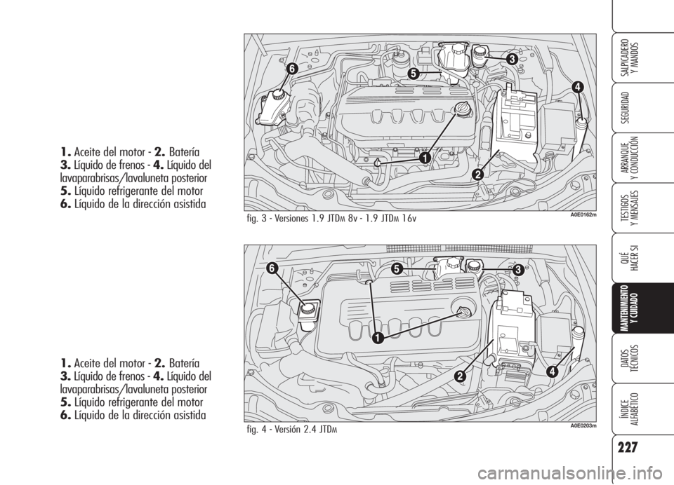 Alfa Romeo 159 2005  Manual de Empleo y Cuidado (in Spanish) 227
SEGURIDAD
TESTIGOS
Y MENSAJES
QUÉ
HACER SI
MANTENIMIENTO
Y CUIDADO
DATOS 
TÉCNICOS
ÍNDICE
ALFABÉTICO 
SALPICADERO
Y MANDOS 
ARRANQUE
Y CONDUCCIÓN
fig. 3 - Versiones 1.9 JTDM8v - 1.9 JTDM16vA0