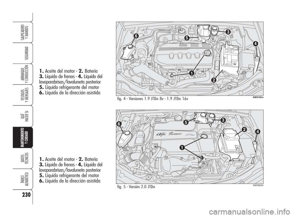 Alfa Romeo 159 2010  Manual de Empleo y Cuidado (in Spanish) 230
SEGURIDAD
TESTIGOS 
Y MENSAJES
QUÉ
HACER SI
MANTENIMIENTO
Y CUIDADO
DATOS 
TÉCNICOS
ÍNDICE 
ALFABÉTICO
SALPICADERO 
Y MANDOS 
ARRANQUE 
Y CONDUCCIÓN
fig. 4 - Versiones 1.9 JTDM8v - 1.9 JTDM16