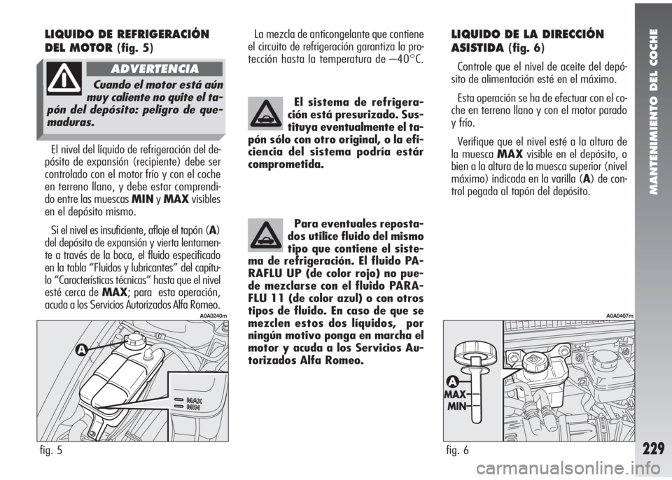 Alfa Romeo 147 2006 Manual de Empleo y Cuidado (in Spanish) MANTENIMIENTO DEL COCHE
229
LIQUIDO DE LA DIRECCIÓN
ASISTIDA
(fig. 6)
Controle que el nivel de aceite del depó-
sito de alimentación esté en el máximo.
Esta operación se ha de efectuar con el co Alfa Romeo 147 2006 Manual de Empleo y Cuidado (in Spanish) MANTENIMIENTO DEL COCHE
229
LIQUIDO DE LA DIRECCIÓN
ASISTIDA
(fig. 6)
Controle que el nivel de aceite del depó-
sito de alimentación esté en el máximo.
Esta operación se ha de efectuar con el co