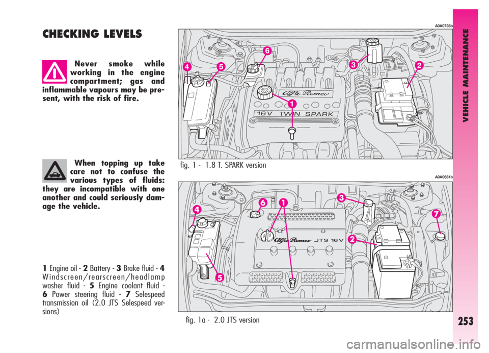 Alfa Romeo GT 2006  Owner handbook (in English) VEHICLE MAINTENANCE
253
1Engine oil - 2Battery - 3Brake fluid -4
Windscreen/rearscreen/headlamp
washer fluid - 5Engine coolant fluid - 
6Power steering fluid - 7Selespeed
transmission oil (2.0 JTS Sel