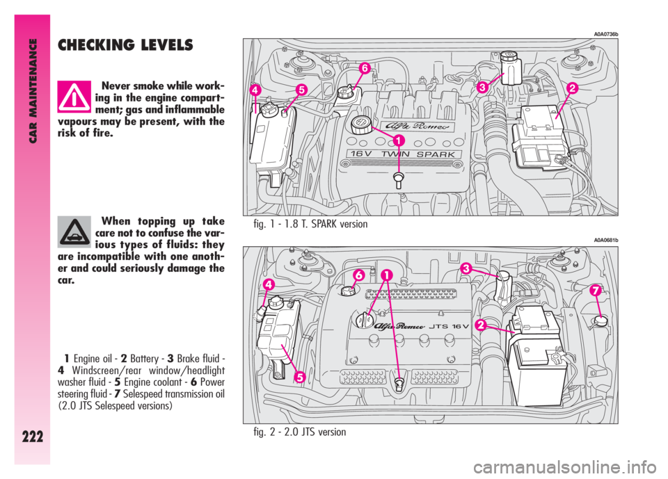 Alfa Romeo GT 2007  Owner handbook (in English) CAR MAINTENANCE
222
fig. 1 - 1.8 T. SPARK version
A0A0736b
A0A0681b
CHECKING LEVELS 
Never smoke while work-
ing in the engine compart-
ment; gas and inflammable
vapours may be present, with the
risk 