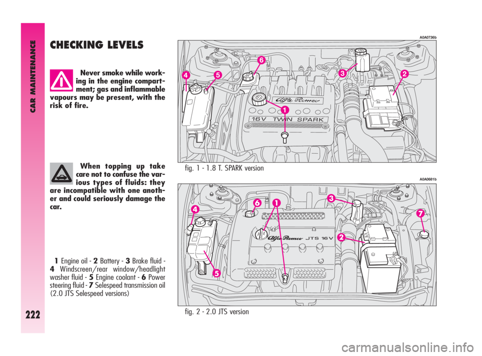 Alfa Romeo GT 2010  Owner handbook (in English) CAR MAINTENANCE
222
fig. 1 - 1.8 T. SPARK version
A0A0736b
A0A0681b
CHECKING LEVELS 
Never smoke while work-
ing in the engine compart-
ment; gas and inflammable
vapours may be present, with the
risk 