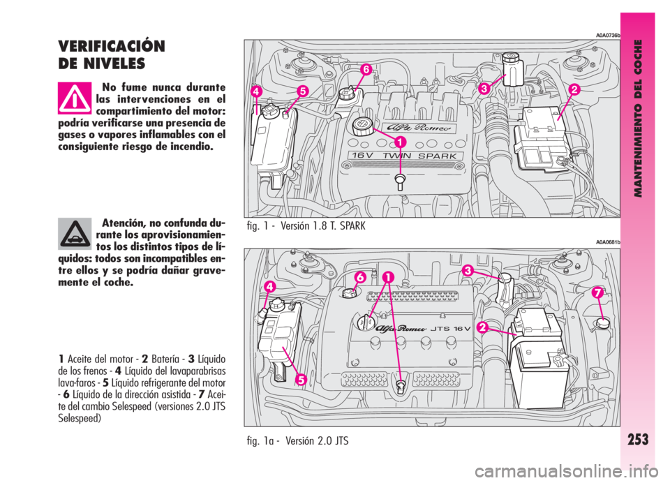 Alfa Romeo GT 2006 Manual de Empleo y Cuidado (in Spanish) MANTENIMIENTO DEL COCHE
253
1Aceite del motor - 2Batería - 3Líquido
de los frenos -4Líquido del lavaparabrisas
lava-faros - 5Líquido refrigerante del motor
-6Líquido de la dirección asistida - 7 Alfa Romeo GT 2006 Manual de Empleo y Cuidado (in Spanish) MANTENIMIENTO DEL COCHE
253
1Aceite del motor - 2Batería - 3Líquido
de los frenos -4Líquido del lavaparabrisas
lava-faros - 5Líquido refrigerante del motor
-6Líquido de la dirección asistida - 7