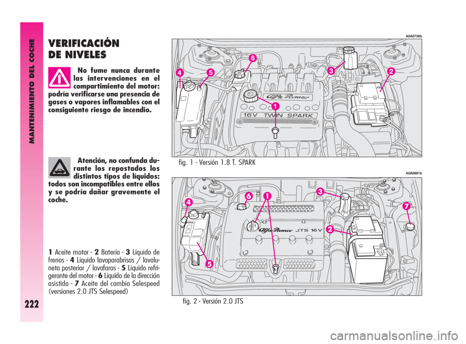 Alfa Romeo GT 2010  Manual de Empleo y Cuidado (in Spanish) MANTENIMIENTO DEL COCHE
222
fig. 1 - Versión 1.8 T. SPARK 
A0A0736b
A0A0681b
VERIFICACIÓN
DE NIVELES 
No fume nunca durante
las intervenciones en el
compartimiento del motor:
podría verificarse una