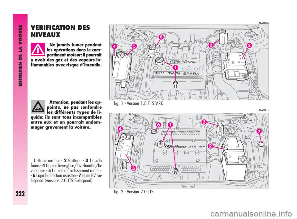 Alfa Romeo GT 2010  Notice dentretien (in French) ENTRETIEN DE LA VOITURE
222
fig. 1 - Version 1.8 T. SPARK
A0A0736b
A0A0681b
VERIFICATION DES
NIVEAUX
Ne jamais fumer pendant
les opérations dans le com-
partiment moteur: il pourrait
y avoir des gaz 