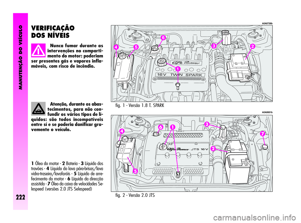 Alfa Romeo GT 2005 Manual de Uso e Manutenção (in Portuguese) MANUTENÇÃO DO VEÍCULO
222
fig. 1 - Versão 1.8 T. SPARK
A0A0736b
A0A0681b
VERIFICAÇÃO
DOS NÍVEIS
Nunca fumar durante as
intervenções no comparti-
mento do motor: poderiam
ser presentes gás Alfa Romeo GT 2005 Manual de Uso e Manutenção (in Portuguese) MANUTENÇÃO DO VEÍCULO
222
fig. 1 - Versão 1.8 T. SPARK
A0A0736b
A0A0681b
VERIFICAÇÃO
DOS NÍVEIS
Nunca fumar durante as
intervenções no comparti-
mento do motor: poderiam
ser presentes gás