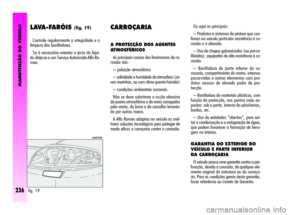 Alfa Romeo GT 2010  Manual de Uso e Manutenção (in Portuguese) MANUTENÇÃO DO VEÍCULO
236
LAVA-FARÓIS (fig. 19)
Controle regularmente a integridade e a
limpeza dos borrifadores. 
Se é necessário orientar o jacto do líqui-
do dirija-se a um Serviço Autoriza