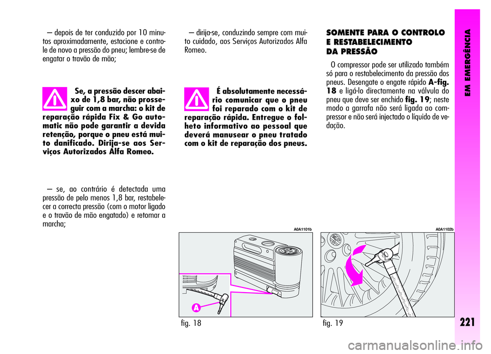 Alfa Romeo GT 2006  Manual de Uso e Manutenção (in Portuguese) EM EMERGÊNCIA
– depois de ter conduzido por 10 minu-
tos aproximadamente, estacione e contro-
le de novo a pressão do pneu; lembre-se de
engatar o travão de mão;
221fig. 18
A0A1101b
fig. 19
A0A1