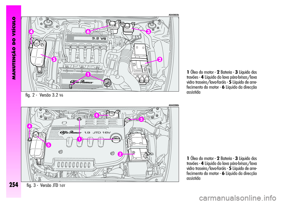 Alfa Romeo GT 2006 Manual de Uso e Manutenção (in Portuguese) MANUTENÇÃO DO VEÍCULO
254fig. 3 - Versão JTD 16V
1Óleo do motor - 2Bateria - 3Líquido dos
travões -4Líquido do lava pára-brisas/lava
vidro traseiro/lava-faróis - 5Líquido de arre-
feciment Alfa Romeo GT 2006 Manual de Uso e Manutenção (in Portuguese) MANUTENÇÃO DO VEÍCULO
254fig. 3 - Versão JTD 16V
1Óleo do motor - 2Bateria - 3Líquido dos
travões -4Líquido do lava pára-brisas/lava
vidro traseiro/lava-faróis - 5Líquido de arre-
feciment