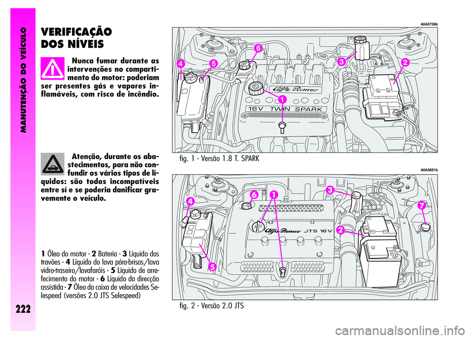 Alfa Romeo GT 2007  Manual de Uso e Manutenção (in Portuguese) MANUTENÇÃO DO VEÍCULO
222
fig. 1 - Versão 1.8 T. SPARK 
A0A0736b
A0A0681b
VERIFICAÇÃO
DOS NÍVEIS 
Nunca fumar durante as
intervenções no comparti-
mento do motor: poderiam
ser presentes gás 