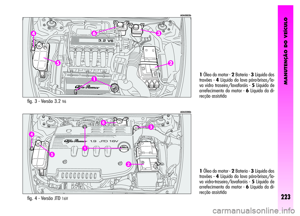 Alfa Romeo GT 2007  Manual de Uso e Manutenção (in Portuguese) MANUTENÇÃO DO VEÍCULO
223
A0A0396b
fig. 4 - Versão JTD 16V
1Óleo do motor - 2Bateria - 3Líquido dos
travões - 4Líquido do lava pára-brisas/la-
va vidro-traseiro/lavafaróis - 5Líquido de
arr