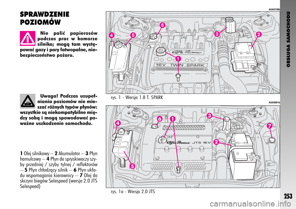 Alfa Romeo GT 2009  Instrukcja obsługi (in Polish) OBS¸UGA SAMOCHODU
253
rys. 1 - Wersja 1.8 T. SPARK
A0A0736b
A0A0681b
SPRAWDZENIE 
POZIOMÓW
Nie paliç papierosów
podczas prac w komorze
silnika; mogà tam wyst´-
powaç gazy i pary ∏atwopalne, n