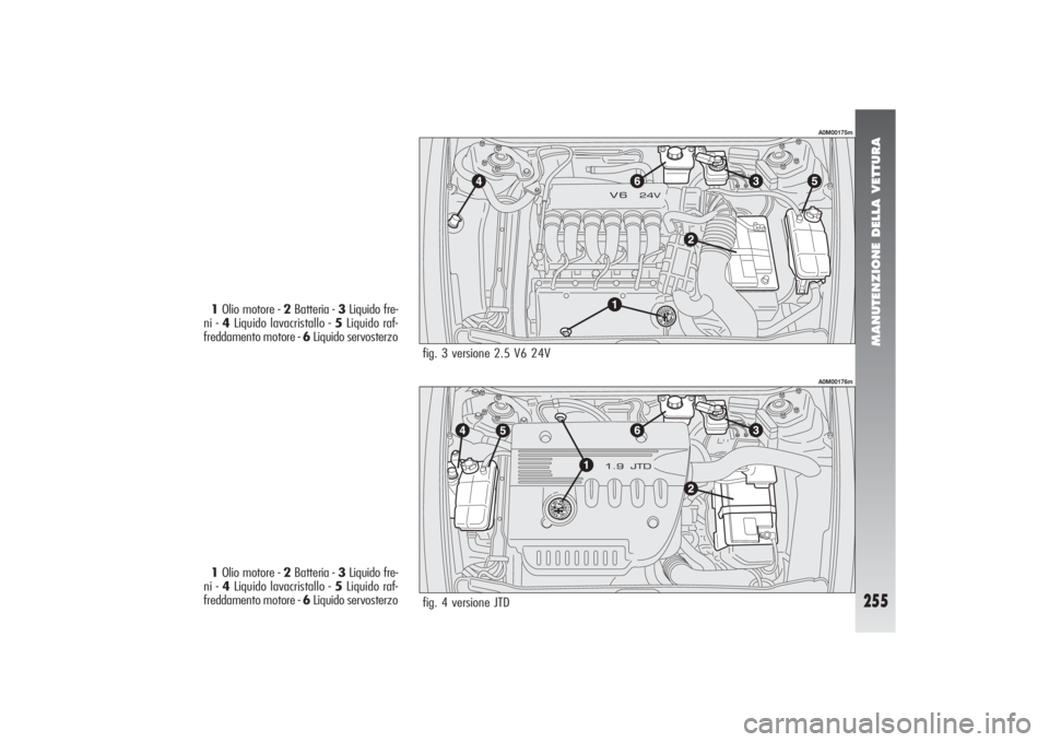 Alfa Romeo 156 2004 Libretto Uso Manutenzione (in Italian) MANUTENZIONE DELLA VETTURA
255
fig. 3 versione 2.5 V6 24V
fig. 4 versione JTD
A0M00175mA0M00176m
1Olio motore - 2Batteria - 3Liquido fre-
ni - 4Liquido lavacristallo - 5Liquido raf-
freddamento motore Alfa Romeo 156 2004 Libretto Uso Manutenzione (in Italian) MANUTENZIONE DELLA VETTURA
255
fig. 3 versione 2.5 V6 24V
fig. 4 versione JTD
A0M00175mA0M00176m
1Olio motore - 2Batteria - 3Liquido fre-
ni - 4Liquido lavacristallo - 5Liquido raf-
freddamento motore