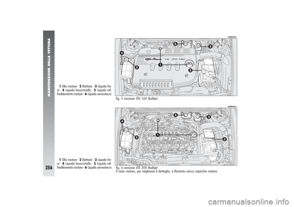 Alfa Romeo 156 2004 Libretto Uso Manutenzione (in Italian) MANUTENZIONE DELLA VETTURA
256
A0M0558m
1Olio motore - 2Batteria - 3Liquido fre-
ni - 4Liquido lavacristallo - 5Liquido raf-
freddamento motore - 6Liquido servosterzo
1Olio motore - 2Batteria - 3Liqui Alfa Romeo 156 2004 Libretto Uso Manutenzione (in Italian) MANUTENZIONE DELLA VETTURA
256
A0M0558m
1Olio motore - 2Batteria - 3Liquido fre-
ni - 4Liquido lavacristallo - 5Liquido raf-
freddamento motore - 6Liquido servosterzo
1Olio motore - 2Batteria - 3Liqui