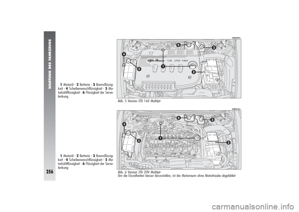 Alfa Romeo 156 2005 Betriebsanleitung (in German) WARTUNG DES FAHRZEUGS
256
A0B0558m
1Motoröl - 2Batterie - 3Bremsflüssig-
keit - 4Scheibenwaschflüssigkeit - 5Mo-
torkühlflüssigkeit - 6Flüssigkeit der Servo-
lenkung
1Motoröl - 2Batterie - 3Bre Alfa Romeo 156 2005 Betriebsanleitung (in German) WARTUNG DES FAHRZEUGS
256
A0B0558m
1Motoröl - 2Batterie - 3Bremsflüssig-
keit - 4Scheibenwaschflüssigkeit - 5Mo-
torkühlflüssigkeit - 6Flüssigkeit der Servo-
lenkung
1Motoröl - 2Batterie - 3Bre