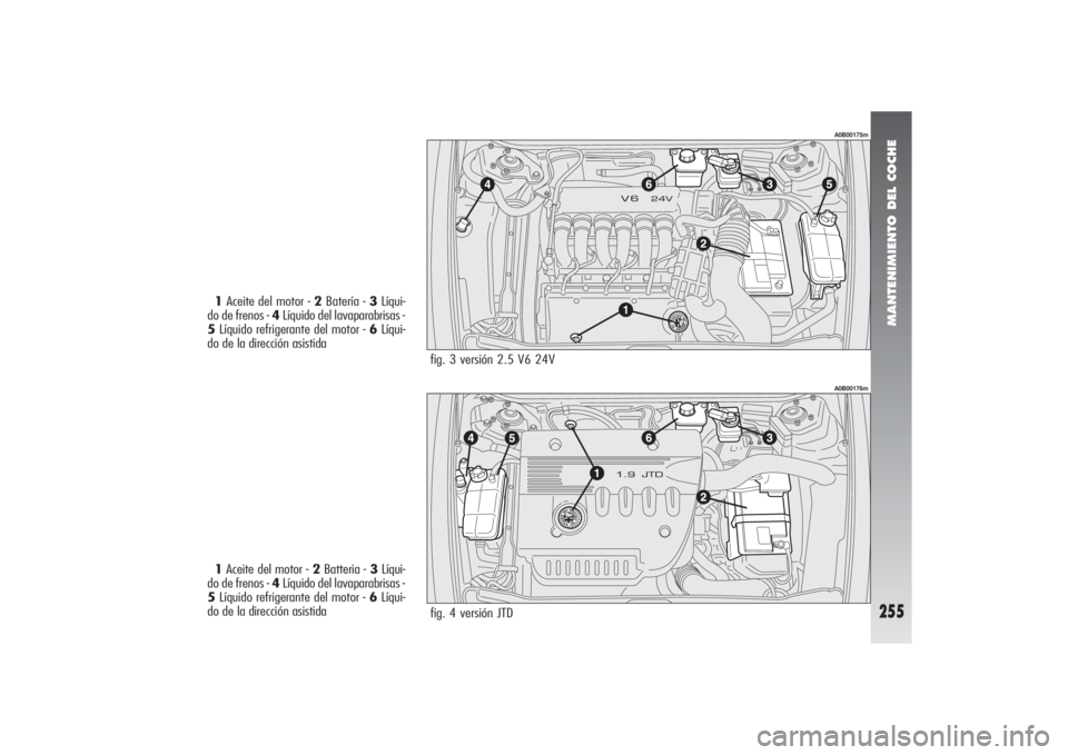 Alfa Romeo 156 2004 Manual de Empleo y Cuidado (in Spanish) MANTENIMIENTO DEL COCHE
255
fig. 3 versión 2.5 V6 24V
fig. 4 versión JTD
A0B00175mA0B00176m
1Aceite del motor - 2Batería - 3Líqui-
do de frenos - 4Líquido del lavaparabrisas -
5Líquido refrigera Alfa Romeo 156 2004 Manual de Empleo y Cuidado (in Spanish) MANTENIMIENTO DEL COCHE
255
fig. 3 versión 2.5 V6 24V
fig. 4 versión JTD
A0B00175mA0B00176m
1Aceite del motor - 2Batería - 3Líqui-
do de frenos - 4Líquido del lavaparabrisas -
5Líquido refrigera