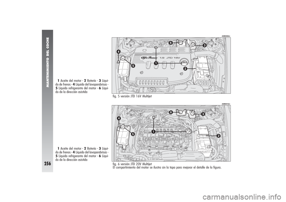 Alfa Romeo 156 2004 Manual de Empleo y Cuidado (in Spanish) MANTENIMIENTO DEL COCHE
256
A0B0558m
1Aceite del motor - 2Batería - 3Líqui-
do de frenos - 4Líquido del lavaparabrisas -
5Líquido refrigerante del motor - 6Líqui-
do de la dirección asistida
1Ac Alfa Romeo 156 2004 Manual de Empleo y Cuidado (in Spanish) MANTENIMIENTO DEL COCHE
256
A0B0558m
1Aceite del motor - 2Batería - 3Líqui-
do de frenos - 4Líquido del lavaparabrisas -
5Líquido refrigerante del motor - 6Líqui-
do de la dirección asistida
1Ac