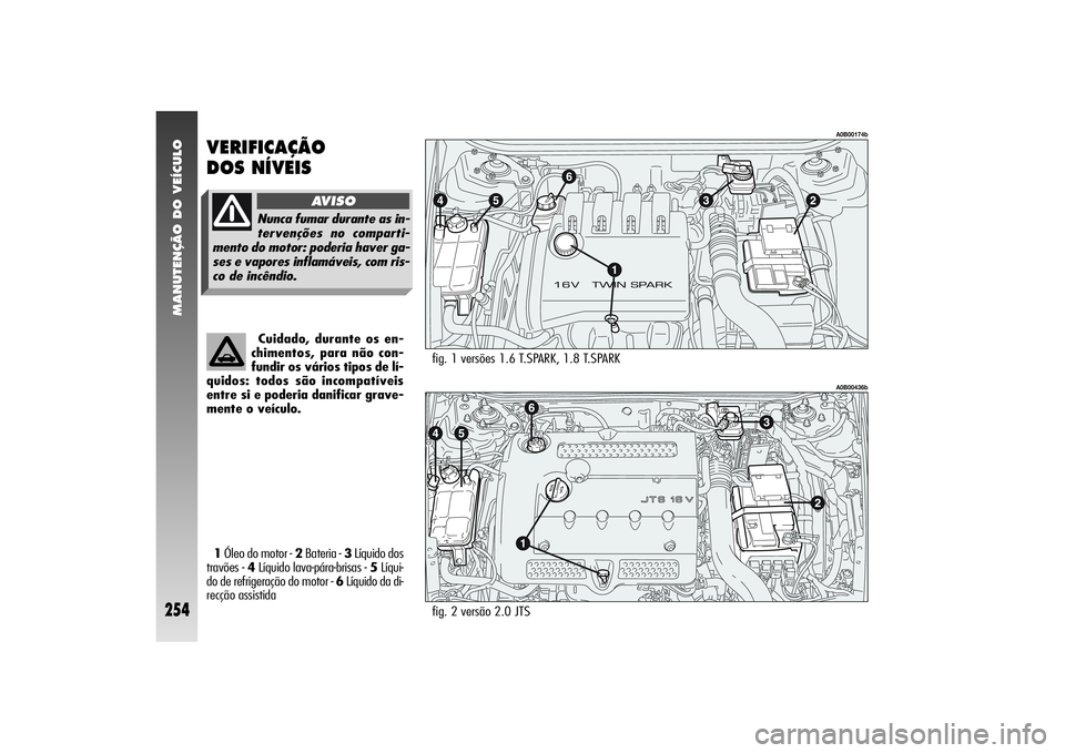 Alfa Romeo 156 2006  Manual de Uso e Manutenção (in Portuguese) MANUTENÇÃO DO VEÍCULO
254
fig. 2 versão 2.0 JTS
A0B00436b
fig. 1 versões 1.6 T.SPARK, 1.8 T.SPARK 
A0B00174b
VERIFICAÇÃO 
DOS NÍVEIS1Óleo do motor - 2Bateria - 3Líquido dos
travões - 4Líqu