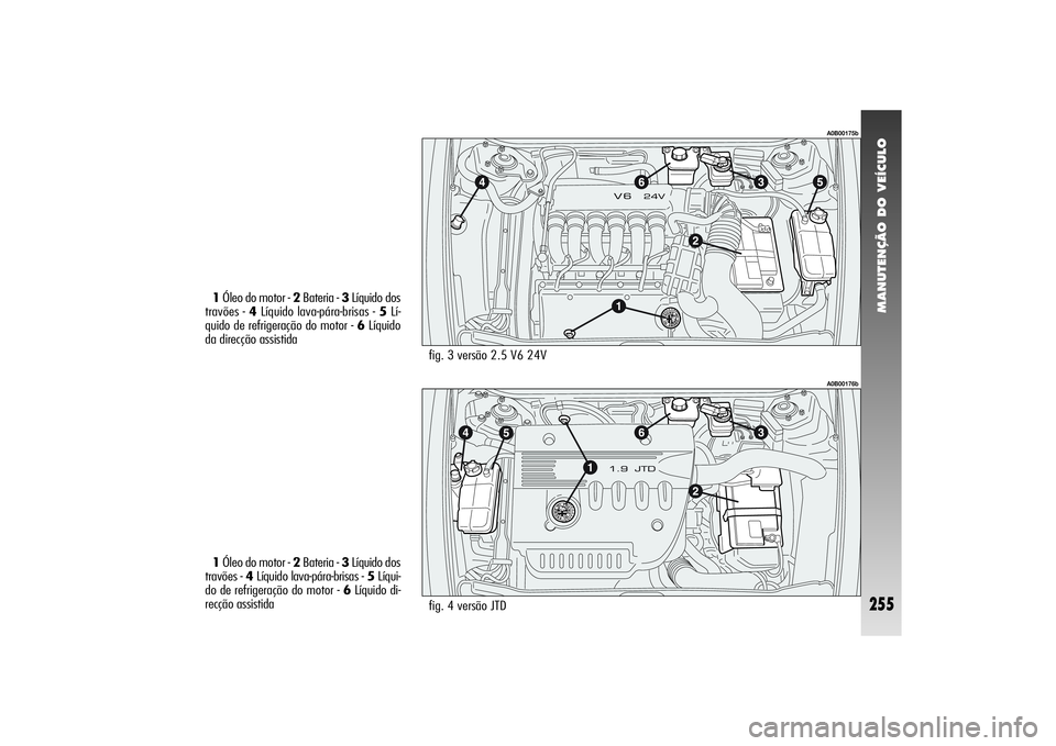 Alfa Romeo 156 2006 Manual de Uso e Manutenção (in Portuguese) MANUTENÇÃO DO VEÍCULO
255
fig. 3 versão 2.5 V6 24V
fig. 4 versão JTD
A0B00175bA0B00176b
1Óleo do motor - 2Bateria - 3Líquido dos
travões - 4Líquido lava-pára-brisas - 5Lí-
quido de refriger Alfa Romeo 156 2006 Manual de Uso e Manutenção (in Portuguese) MANUTENÇÃO DO VEÍCULO
255
fig. 3 versão 2.5 V6 24V
fig. 4 versão JTD
A0B00175bA0B00176b
1Óleo do motor - 2Bateria - 3Líquido dos
travões - 4Líquido lava-pára-brisas - 5Lí-
quido de refriger