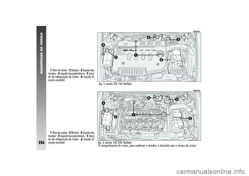 Alfa Romeo 156 2006 Manual de Uso e Manutenção (in Portuguese) MANUTENÇÃO DO VEÍCULO
256
A0B0558m
1Óleo do motor - 2Bateria - 3Líquido dos
travões - 4Líquido lava-pára-brisas - 5Líqui-
do de refrigeração do motor - 6Líquido di-
recção assistida
fig. Alfa Romeo 156 2006 Manual de Uso e Manutenção (in Portuguese) MANUTENÇÃO DO VEÍCULO
256
A0B0558m
1Óleo do motor - 2Bateria - 3Líquido dos
travões - 4Líquido lava-pára-brisas - 5Líqui-
do de refrigeração do motor - 6Líquido di-
recção assistida
fig.