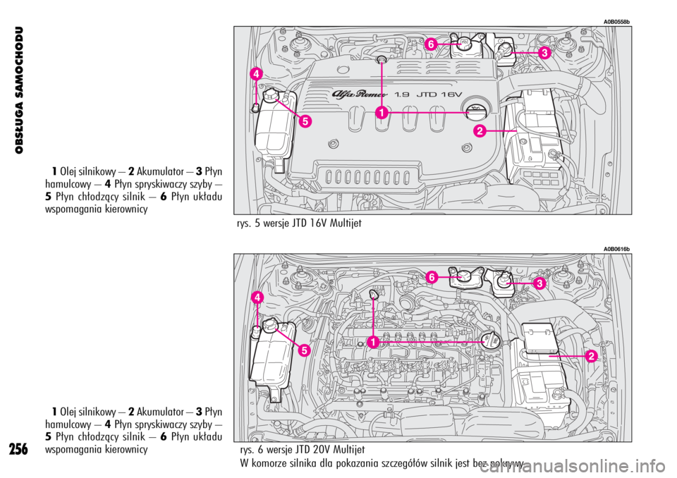 Alfa Romeo 156 2004  Instrukcja obsługi (in Polish) OBS¸UGA SAMOCHODU
256
A0B0558b
1Olej silnikowy – 2Akumulator – 3P∏yn
hamulcowy – 4P∏yn spryskiwaczy szyby –
5P∏yn ch∏odzàcy silnik – 6P∏yn uk∏adu
wspomagania kierownicy
1Olej s