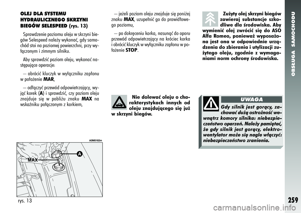 Alfa Romeo 156 2007  Instrukcja obsługi (in Polish) OBS¸UGA  SAMOCHODU
259
– je˝eli poziom oleju znajduje si´ poni˝ej
znaku  MAX, uzupe∏niç go do prawid∏owe-
go poziomu,
– po dokr´ceniu korka, nasunàç do oporu
przewód odpowietrzajàcy 
