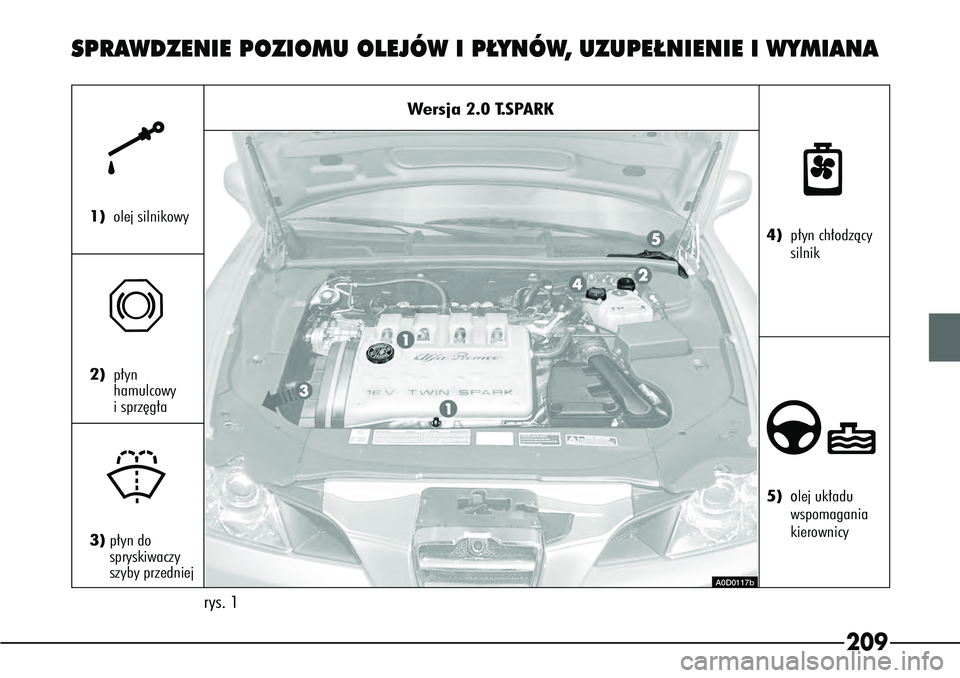 Alfa Romeo 166 2004  Instrukcja obsługi (in Polish) 209
SPRAWDZENIE POZIOMU OLEJÓW I P¸YNÓW, UZUPE¸NIENIE I WYMIANA
Wersja 2.0 T.SPARK
k
1) olej silnikowy
π
2)p∏yn 
hamulcowy
i sprz´g∏a 
+
3)p∏yn do 
spryskiwaczy 
szyby przedniej
n
4) p∏y