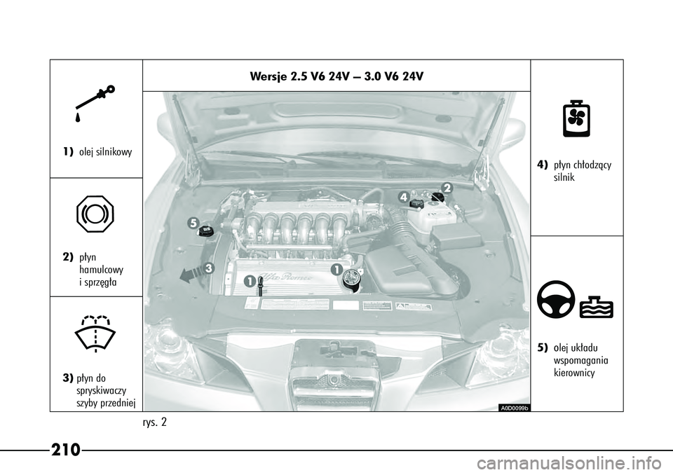 Alfa Romeo 166 2004 Instrukcja obsługi (in Polish) 210
Wersje 2.5 V6 24V – 3.0 V6 24V
rys. 2
k
1) olej silnikowy
π
2)p∏yn
hamulcowy
i sprz´g∏a
+
3)p∏yn do
spryskiwaczy
szyby przedniej
n
4) p∏yn ch∏odzàcy
silnik∂5)olej uk∏adu
wsp Alfa Romeo 166 2004 Instrukcja obsługi (in Polish) 210
Wersje 2.5 V6 24V – 3.0 V6 24V
rys. 2
k
1) olej silnikowy
π
2)p∏yn
hamulcowy
i sprz´g∏a
+
3)p∏yn do
spryskiwaczy
szyby przedniej
n
4) p∏yn ch∏odzàcy
silnik∂5)olej uk∏adu
wsp