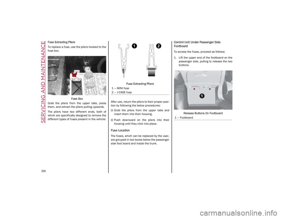 ALFA ROMEO GIULIA 2021 Owners Manual SERVICING AND MAINTENANCE
224
Fuse Extracting Pliers
To replace a fuse, use the pliers hooked to the
fuse box.Fuse Box
Grab the pliers from the upper tabs, press
them, and extract the pliers ALFA ROMEO GIULIA 2021 Owners Manual SERVICING AND MAINTENANCE
224
Fuse Extracting Pliers
To replace a fuse, use the pliers hooked to the
fuse box.Fuse Box
Grab the pliers from the upper tabs, press
them, and extract the pliers
