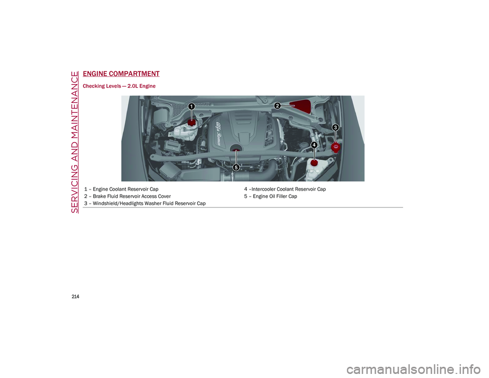 ALFA ROMEO STELVIO 2021  Owners Manual SERVICING AND MAINTENANCE

214

ENGINE COMPARTMENT
Checking Levels — 2.0L Engine
1 – Engine Coolant Reservoir Cap4 –Intercooler Coolant Reservoir Cap
2 – Brake Fluid Reservoir Access Cover 5 