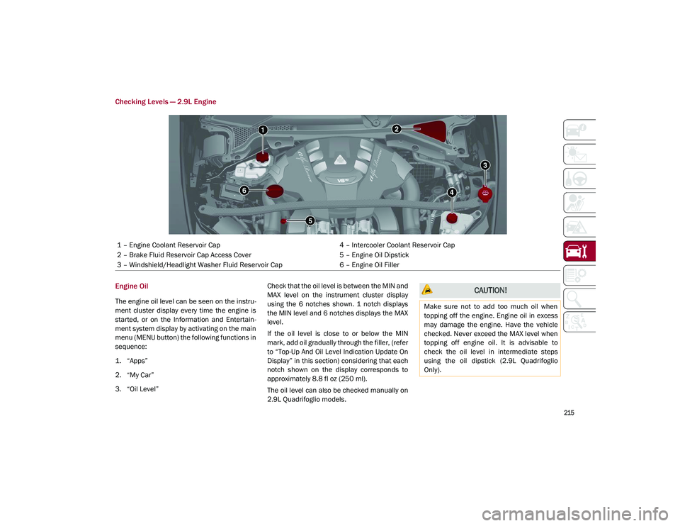 ALFA ROMEO STELVIO 2021  Owners Manual 
215

Checking Levels — 2.9L Engine
Engine Oil
The engine oil level can be seen on the instru-
ment  cluster  display  every  time  the  engine  is
started,  or  on  the  Information  and  Entertain