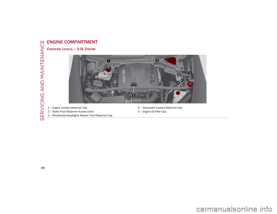 ALFA ROMEO STELVIO 2022 Owners Manual SERVICING AND MAINTENANCE
196
ENGINE COMPARTMENT
CHECKING LEVELS — 2.0L ENGINE
1 – Engine Coolant Reservoir Cap4 – Intercooler Coolant Reservoir Cap
2 – Brake Fluid Reservoir Access Cover 5 ALFA ROMEO STELVIO 2022 Owners Manual SERVICING AND MAINTENANCE
196
ENGINE COMPARTMENT
CHECKING LEVELS — 2.0L ENGINE
1 – Engine Coolant Reservoir Cap4 – Intercooler Coolant Reservoir Cap
2 – Brake Fluid Reservoir Access Cover 5