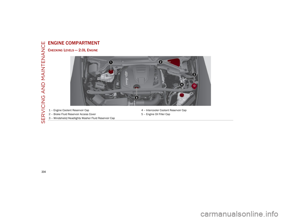 ALFA ROMEO STELVIO 2023 Owners Manual SERVICING AND MAINTENANCE
204
ENGINE COMPARTMENT
CHECKING LEVELS — 2.0L ENGINE
1 – Engine Coolant Reservoir Cap4 – Intercooler Coolant Reservoir Cap
2 – Brake Fluid Reservoir Access Cover 5 ALFA ROMEO STELVIO 2023 Owners Manual SERVICING AND MAINTENANCE
204
ENGINE COMPARTMENT
CHECKING LEVELS — 2.0L ENGINE
1 – Engine Coolant Reservoir Cap4 – Intercooler Coolant Reservoir Cap
2 – Brake Fluid Reservoir Access Cover 5