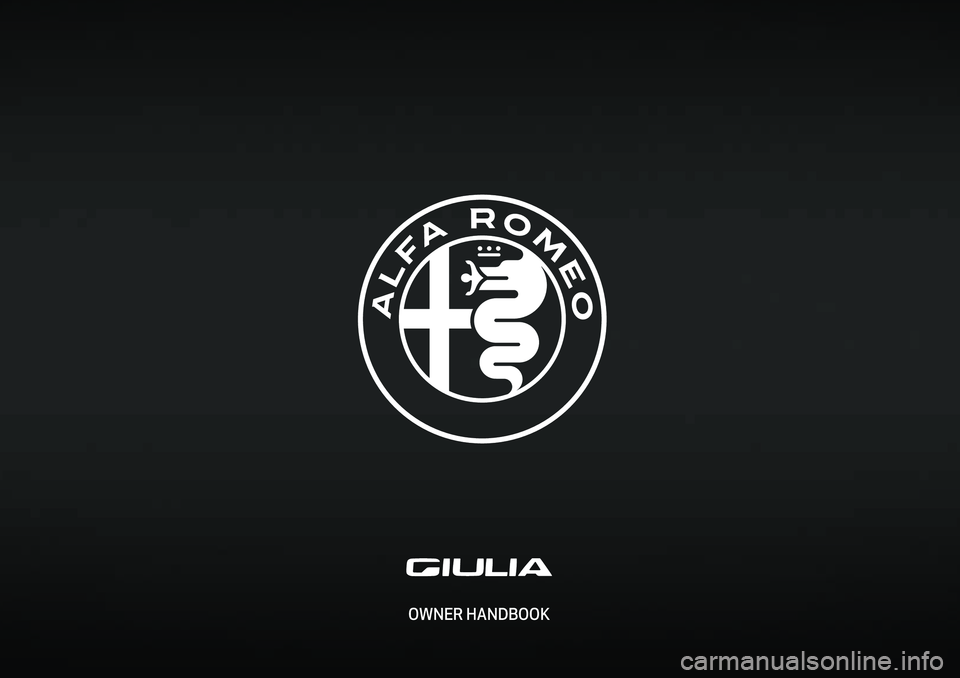Alfa Romeo Giulia 2020  Owners Manual OWNER HANDBOOK 