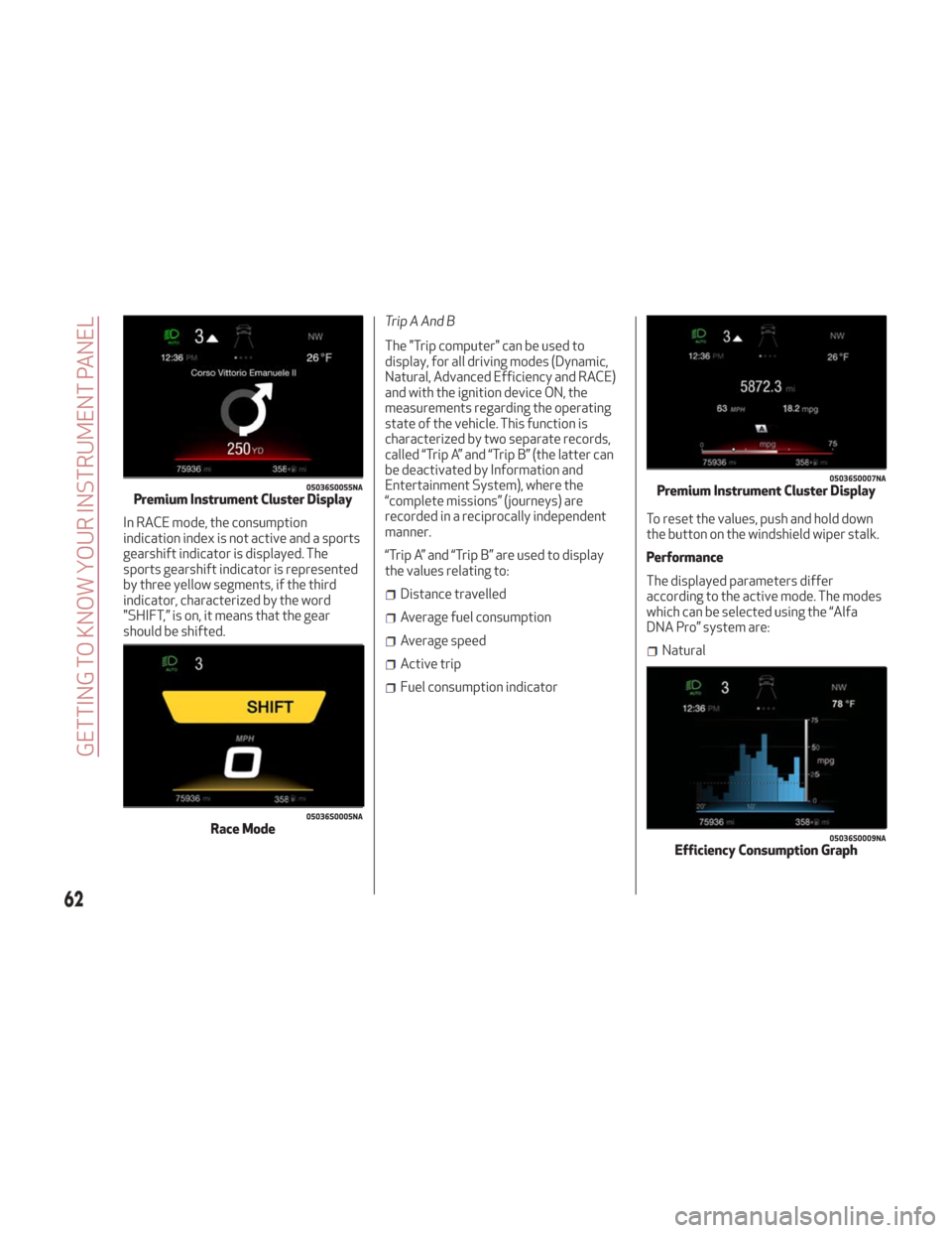 Alfa Romeo Giulia 2018  Owners Manual In RACE mode, the consumption
indication index is not active and a sports
gearshift indicator is displayed. The
sports gearshift indicator is represented
by three yellow segments, if the third
indicat