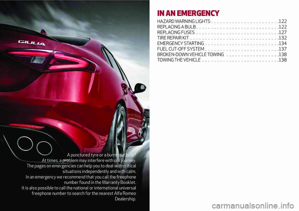 Alfa Romeo Giulia 2016  Owners Manual A punctured tyre or a burnt-out bulb?
At times, a problem may interfere with our journey.
The pages on emergencies can help you to deal with critical
situations independently and with calm.
In an emer
