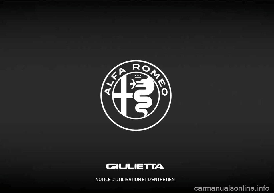 Alfa Romeo Giulietta 2020  Manuel du propriétaire NOTICE D’UTILISATION ET D’ENTRETIEN
cop lum giulia FR.indd   111/12/15   10:53 