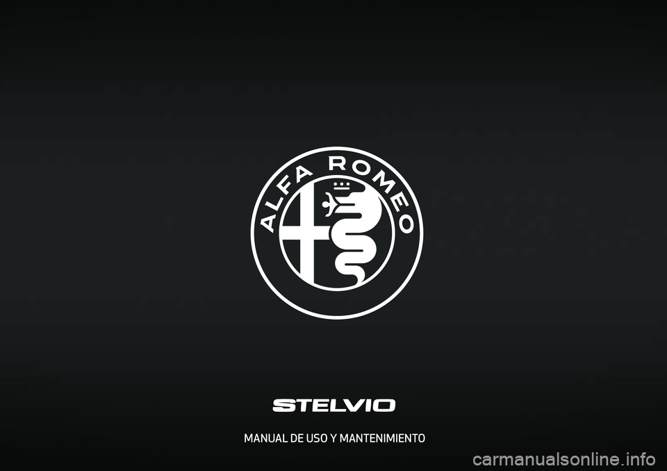 Alfa Romeo Stelvio 2020  Manual del propietario (in Spanish) MANUAL DE USO Y MANTENIMIENTO
cop lum Stelvio ES.indd   116/11/16   09:58 