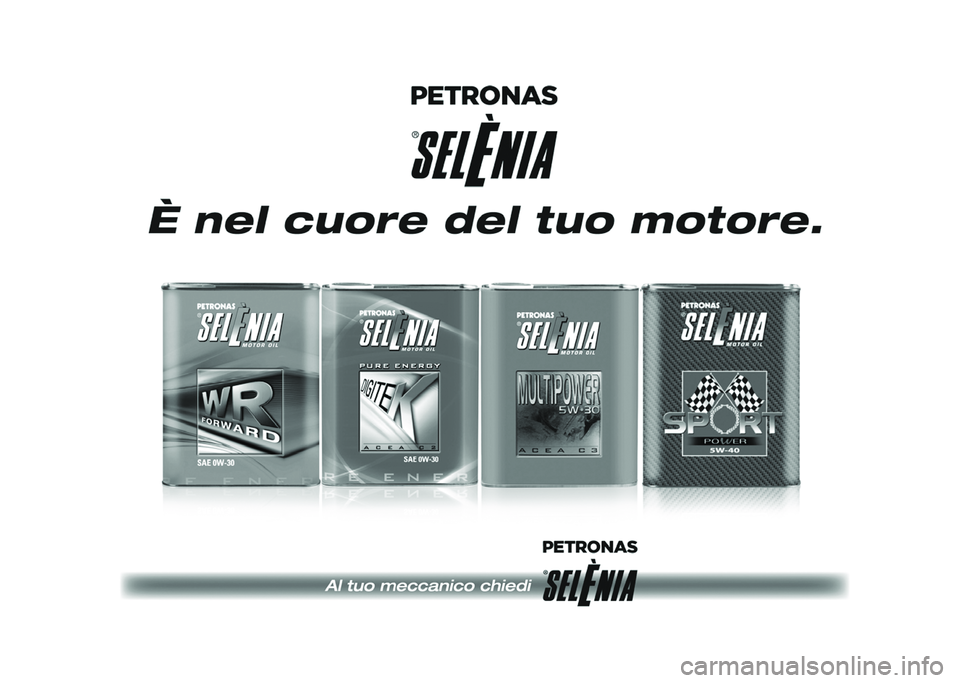 Alfa Romeo Stelvio 2020  Manuale del proprietario (in Italian) 