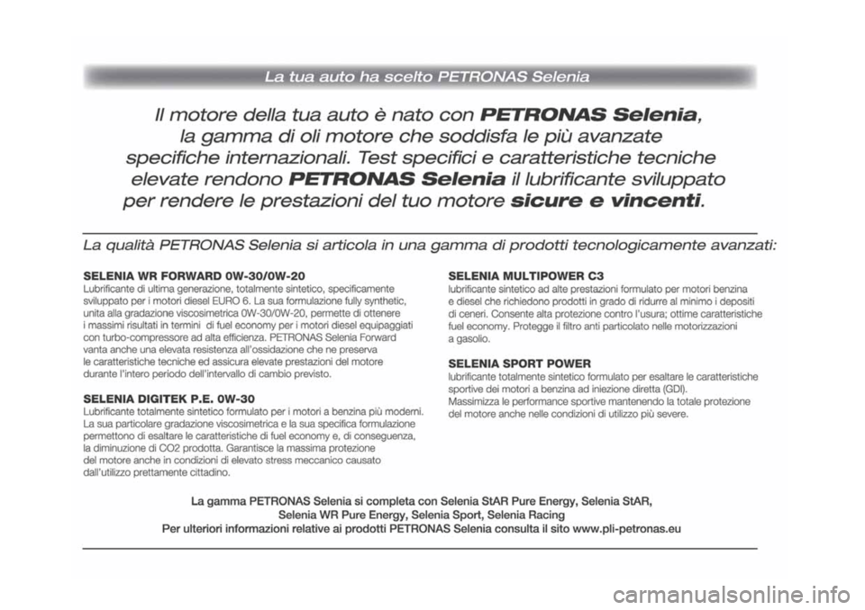 Alfa Romeo Stelvio 2019  Manuale del proprietario (in Italian) 