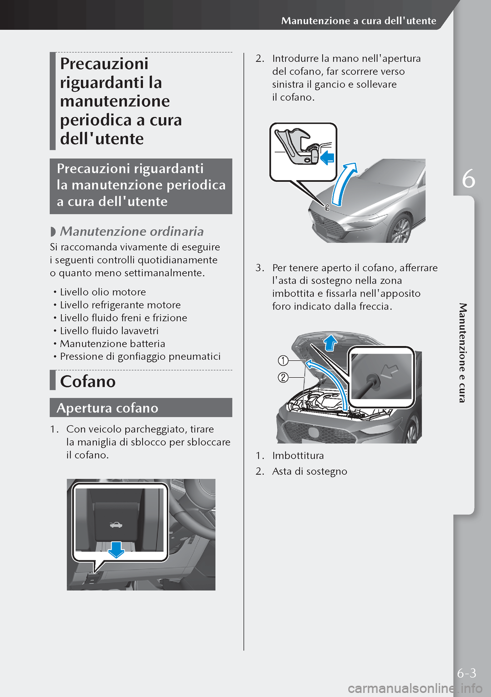 MAZDA MODEL 3 HATCHBACK 2019  Manuale del proprietario (in Italian) Precauzioni 
riguardanti la 
manutenzione 
periodica a cura 
dellutente
Precauzioni riguardanti 
la manutenzione periodica 
a cura dellutente
 
 Manutenzione ordinaria
Si raccomanda vivamente di